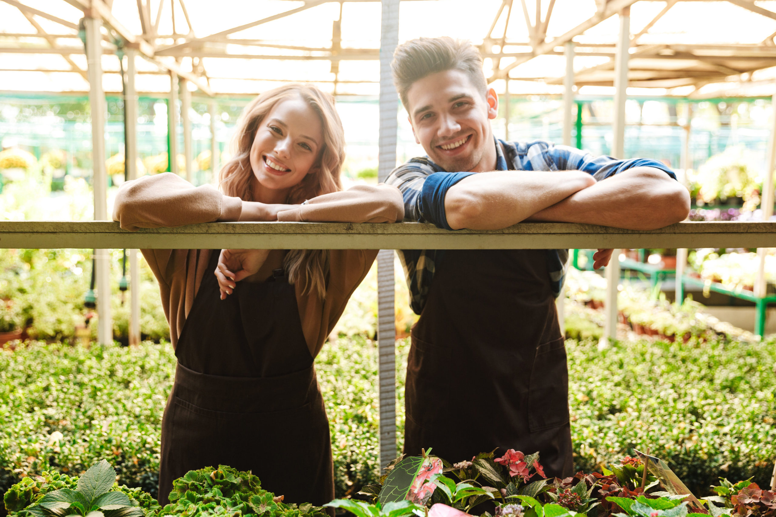 Happy young two colleagues gardeners at the workspace over plants